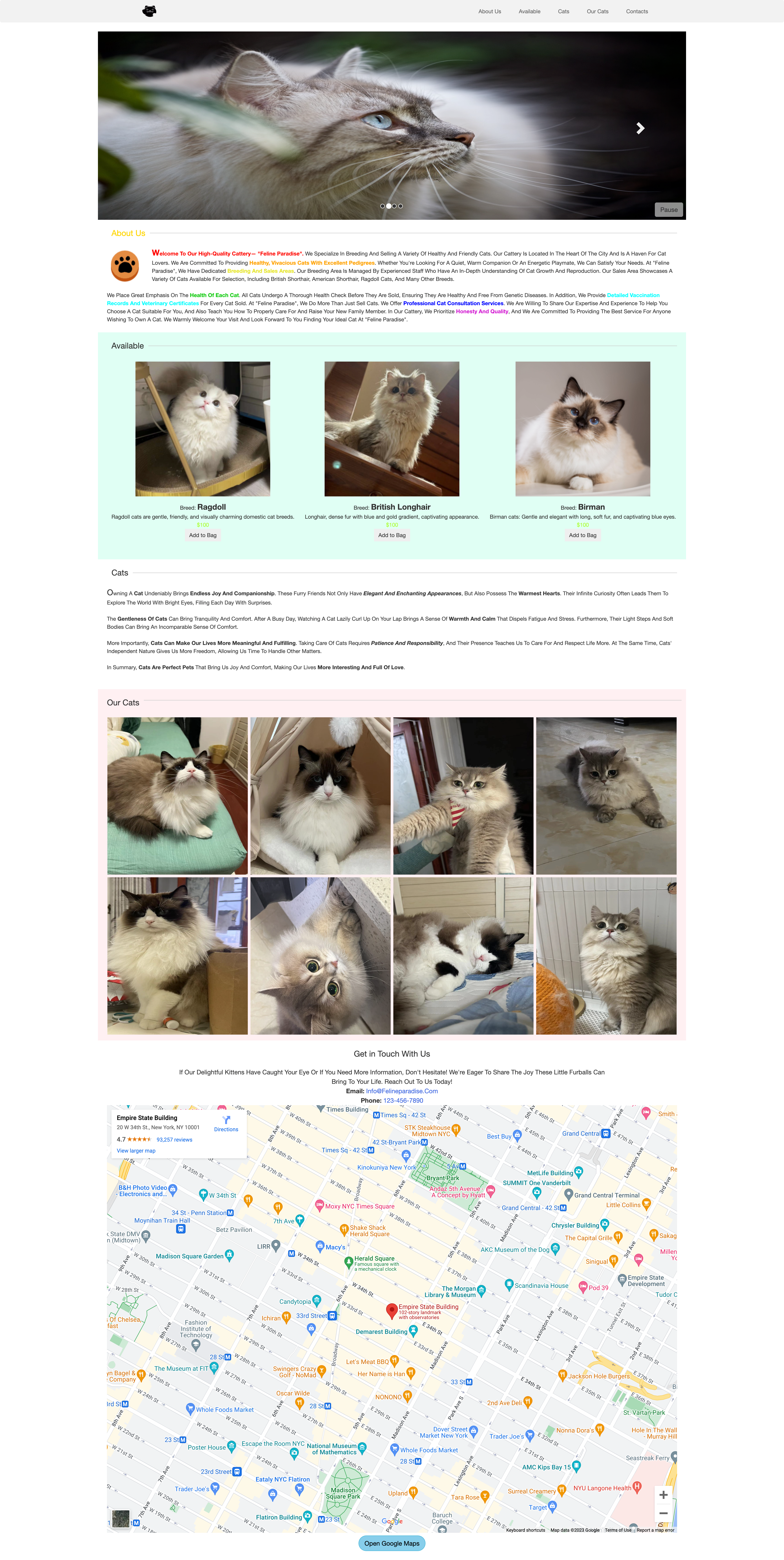 Cat-Cattery Preview